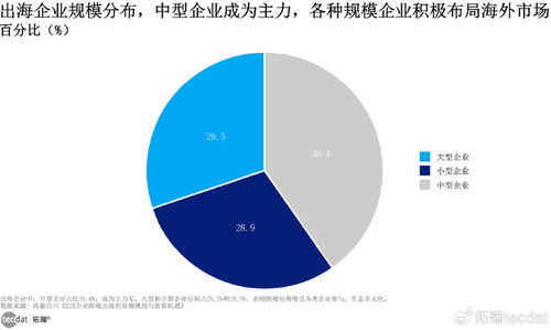 2025中國出口跨境電商發展趨勢研究報告 市場增長、支付金融與賽事策劃
